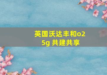 英国沃达丰和o2 5g 共建共享